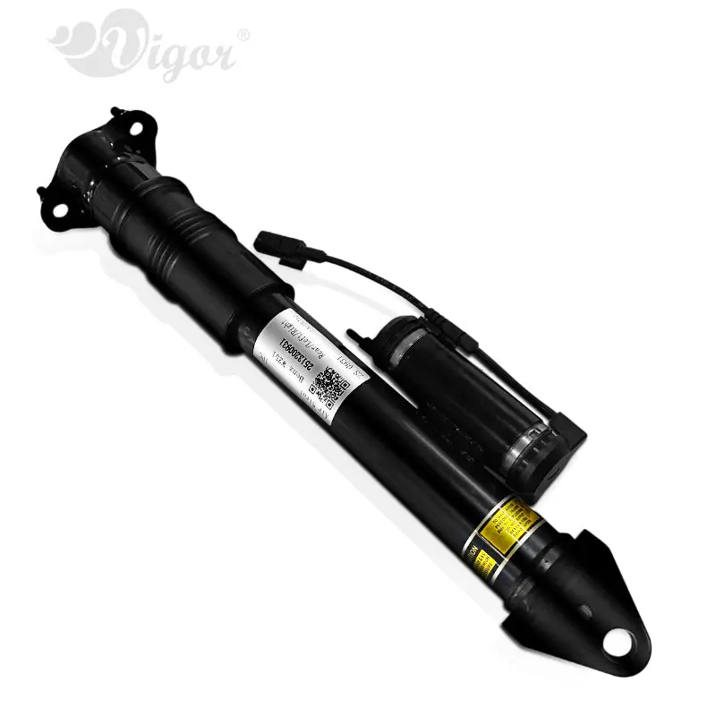 Rear Air Suspension Strut | Mercedes-Benz R-Class 2006-2013 | Vigor Oem 2513203031 1
