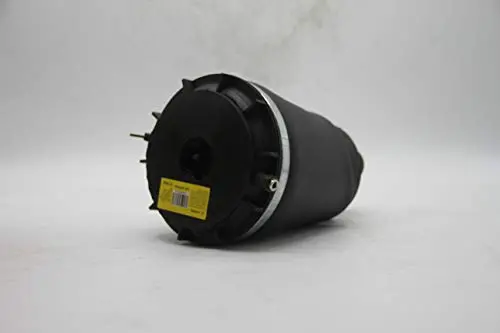 Rear Air Suspension Spring Bag | Cadillac Dts 2006-2011 | Vigor Oem Replacement 1