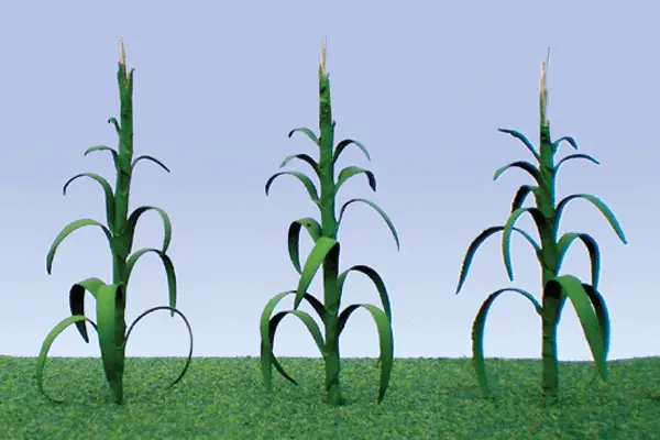 Corn Stalks -- 2" 5Cm Tall Pkg (373-95553) 1