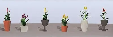 Jtt Flower Plants Potted Assortment (Jtt95572) 1
