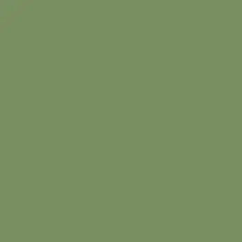 Mission Models Raf Interior Green (Miommp079) 1