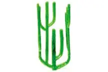 Plastruct Sug-25, Econo Cactus, 1 1/4" (6) (Pls94251) 1
