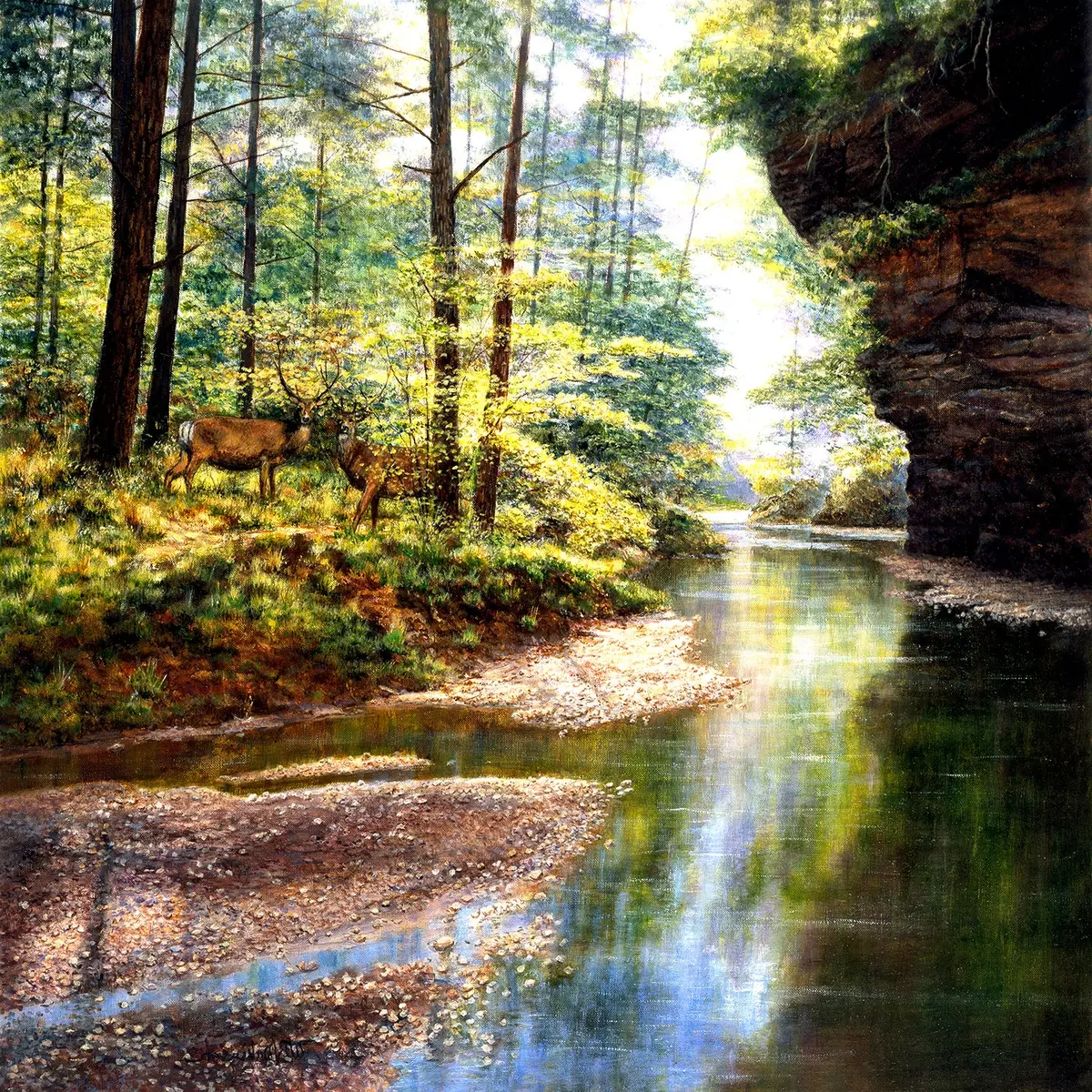 Sunsout Quiet Forest    (Sun44720) 1