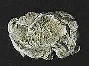Woodland Scenics Wind Rock Rock Mold 5×7   (Wds1237) 1