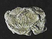 Woodland Scenics Wind Rock Mold 5X7" (Wooc1237) 1