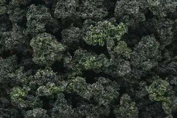 Woodland Scenics Bushes Clump Foliage Frst Bld  ( Woofc149) 1