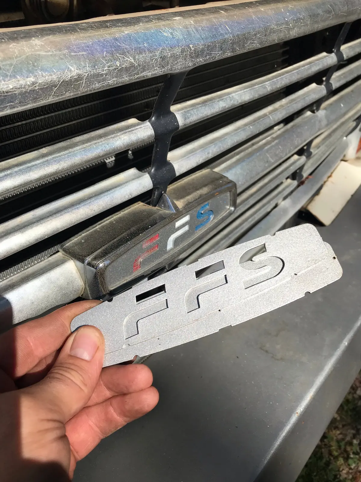 Ffs F100 F250 Custom/Ranger Grille Emblem Insert 1