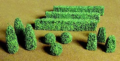 Jtt Boxwood Plants  (Jtt95585) 1