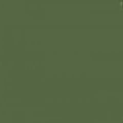 Mission Models Russian Dark Olive 2 Fs 34096 (Miommp029) 1