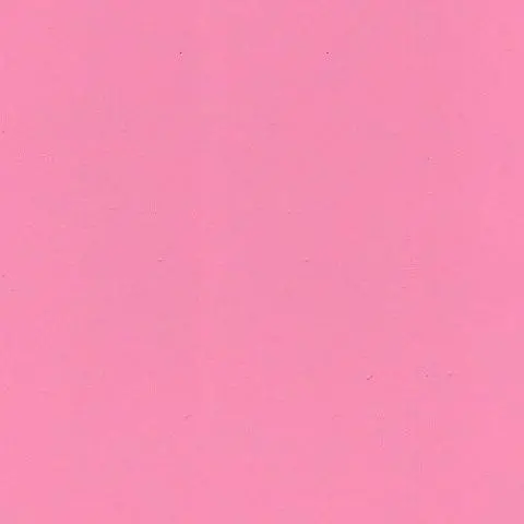 Mission Models Pink Primer  (Miomms005) 1